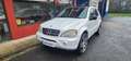 Mercedes-Benz ML 55 AMG Blanc - thumbnail 3