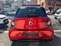 smart forFour Forfour 0.9 t Prime 90cv twinamic Cabrio Navi Kame Rouge - thumbnail 6