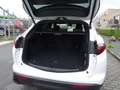 Alfa Romeo Stelvio Q4 2.0 Turbo 16V Lusso Blanc - thumbnail 16