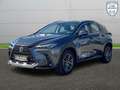 Lexus NX 350h Business Line Gris - thumbnail 15