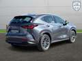 Lexus NX 350h Business Line Gris - thumbnail 2