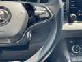 Skoda Karoq Ambition Bleu - thumbnail 19