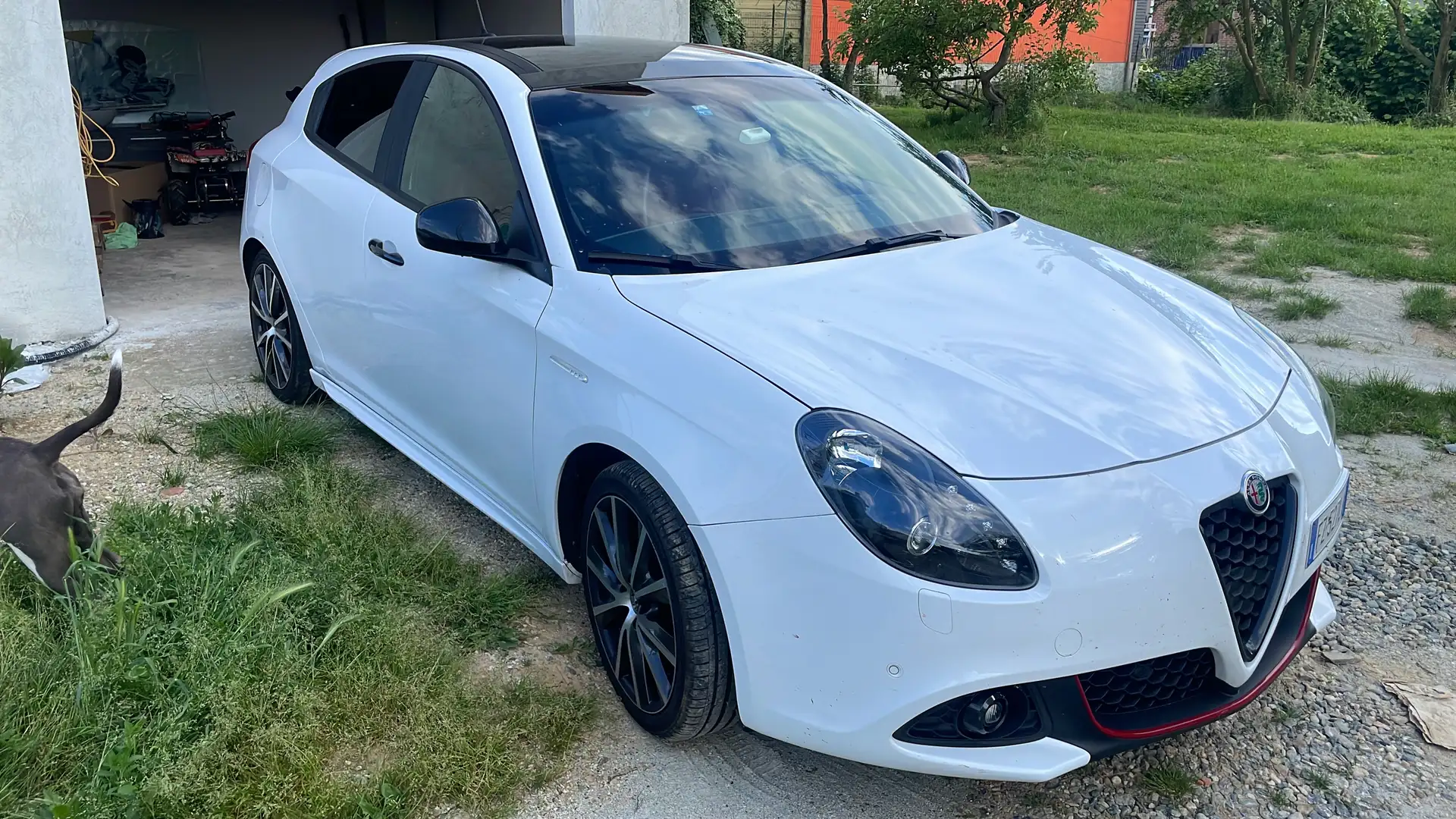 Alfa Romeo Giulietta 1.6 jtdm Sport 120cv my19 - 1