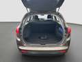 Kia Ceed SW / cee'd SW /Kamera/Sitzheizung/Navigation Brun - thumbnail 14