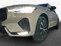Volvo XC60 XC60 B4 D AWD Plus Dark Business*Lichtpaket Grau - thumbnail 6