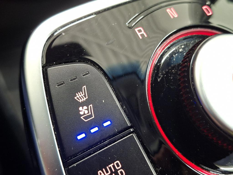 Kia e-Niro ExecutiveLine 64 kWh|Fase 3|SOH93%|Pano|Cam| — photo 15
