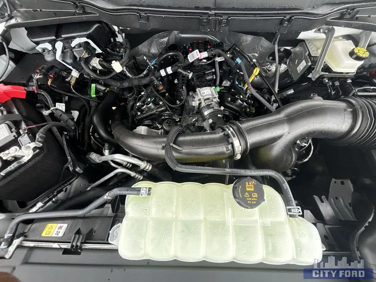 Ford F 150 fotografie Ford F 150