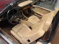 Jaguar XJS 5.3 V12 Convertible Rojo - thumbnail 11