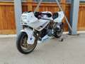 Ducati 600 SS Blanc - thumbnail 7
