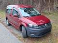 Volkswagen Caddy Caddy Kombi Trendline 2,0 TDI 4MOTION Trendline Rot - thumbnail 2