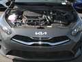 Kia Ceed / cee'd Ceed 1.5T DCT Ultimate Edition Navi Kamera ACC - thumbnail 20