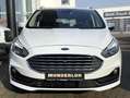 Ford S-Max 2.0 EcoBlue Titanium AHK+STDHZG+RF-KAMERA Weiß - thumbnail 20