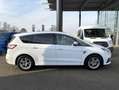 Ford S-Max 2.0 EcoBlue Titanium AHK+STDHZG+RF-KAMERA Weiß - thumbnail 17