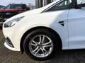 Ford S-Max 2.0 EcoBlue Titanium AHK+STDHZG+RF-KAMERA Weiß - thumbnail 13