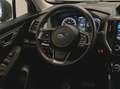 Subaru Forester 2.0 E-BOXER 150 EYESIGHT PREMIUM LINEARTRONIC 150CH Grün - thumbnail 12