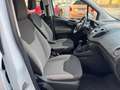 Ford Tourneo Courier 1.0 EcoBoost,Klima,Scheib/Sitzhz, Blanc - thumbnail 14