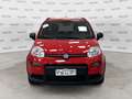 Fiat Panda 1.0 FireFly S&S Hybrid City Life Rosso - thumbnail 2