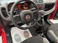 Fiat Panda 1.0 FireFly S&S Hybrid City Life Rosso - thumbnail 8