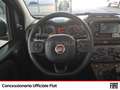 Fiat Panda 1.0 firefly hybrid s&s 70cv Blu/Azzurro - thumbnail 9