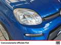 Fiat Panda 1.0 firefly hybrid s&s 70cv Blu/Azzurro - thumbnail 14