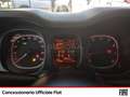 Fiat Panda 1.0 firefly hybrid s&s 70cv Blu/Azzurro - thumbnail 10