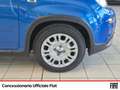 Fiat Panda 1.0 firefly hybrid s&s 70cv Blu/Azzurro - thumbnail 13