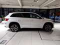 Skoda Kodiaq 2.0 TSI Sportline DSG 4x4 LED Navi ACC Klimaauto Weiß - thumbnail 6