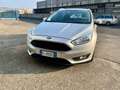 Ford Focus SW 1.5 tdci Business s&s 120cv powershift Silber - thumbnail 3