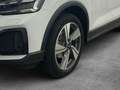 Audi Q2 35TFSI AHK ACC RFK NAVI SITZH SPORTS Weiß - thumbnail 4
