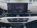 Audi A4 Avant 40 TDI quattro S-line Grau - thumbnail 12