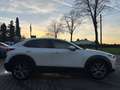 Mazda CX-30 Weiß - thumbnail 3