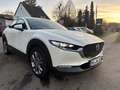Mazda CX-30 Weiß - thumbnail 2