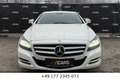 Mercedes-Benz CLS 350 CDI *H&K*PANO*SHZ&SBL*MASSAGESITZE* Blanc - thumbnail 8