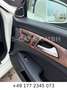Mercedes-Benz CLS 350 CDI *H&K*PANO*SHZ&SBL*MASSAGESITZE* Blanc - thumbnail 28