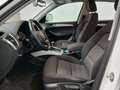 Audi Q5 2.0 TDI **1.HAND/AHK/XENON** Weiß - thumbnail 10