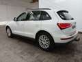 Audi Q5 2.0 TDI **1.HAND/AHK/XENON** Weiß - thumbnail 8