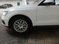 Audi Q5 2.0 TDI **1.HAND/AHK/XENON** Weiß - thumbnail 9