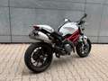 Ducati Monster 796 Weiß - thumbnail 7