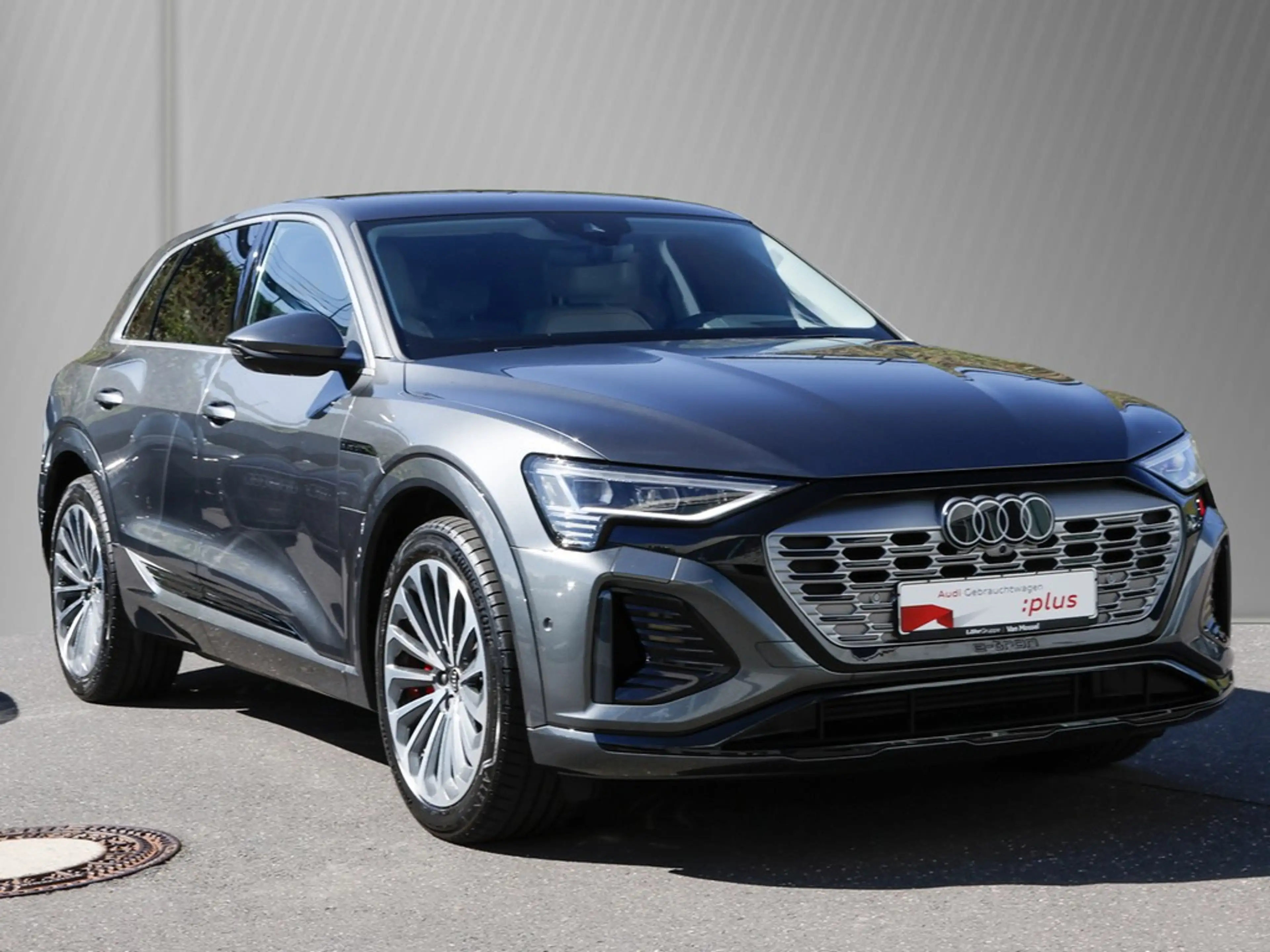 Audi Q8 e-tron 55 quattro S line Leder Matrix — photo 4
