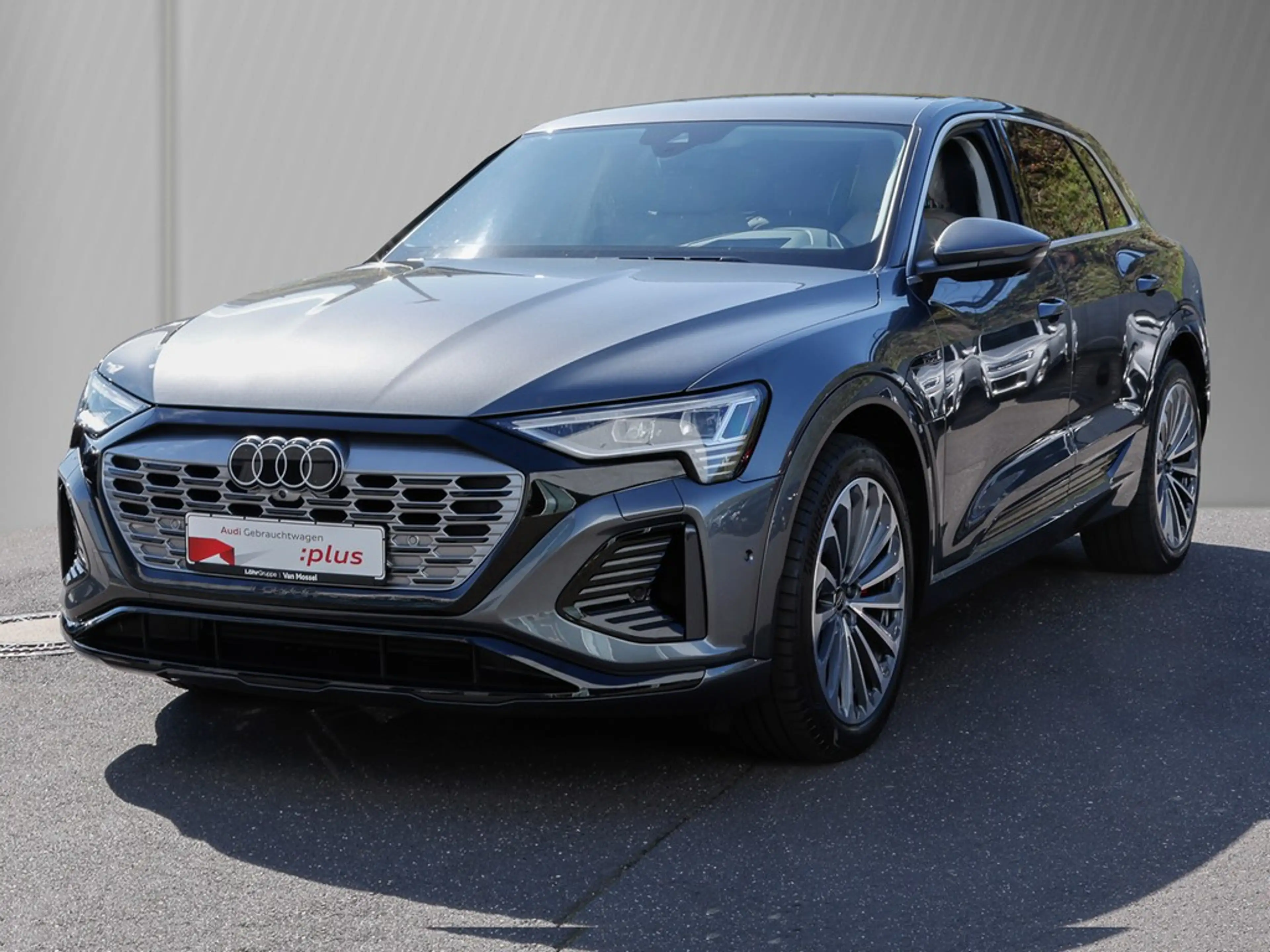 Audi Q8 e-tron 55 quattro S line Leder Matrix — photo 2