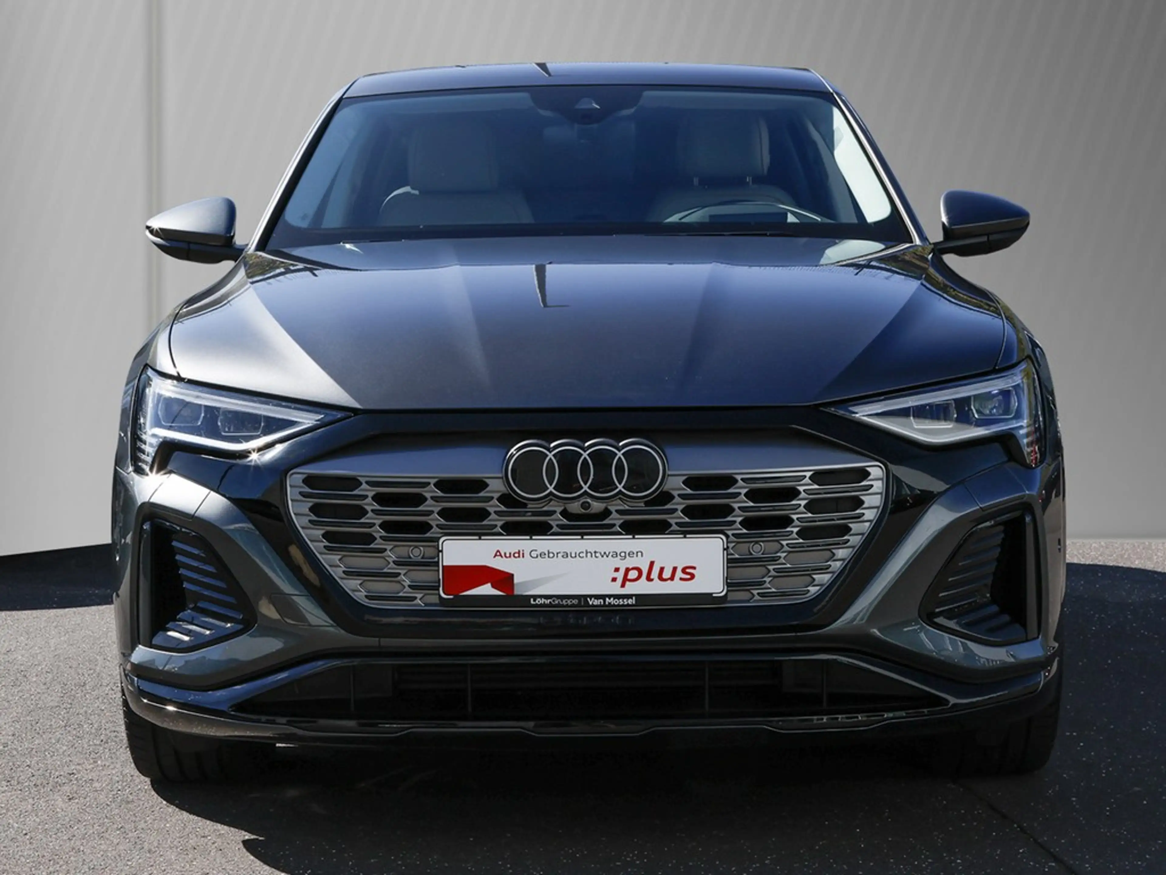 Audi Q8 e-tron 55 quattro S line Leder Matrix — photo 3