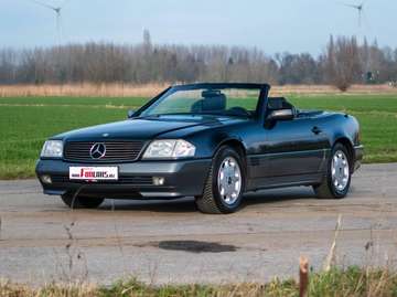 SL300 - 24 | 4 SEATER