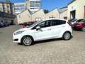 Ford Fiesta Fiesta VI 5 porte 1.2 Plus 60cv E6 Perfetta!!! Bianco - thumbnail 5