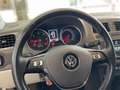 Volkswagen Polo 1.4 TDI 5p. Fresh BlueMotion Technology Bianco - thumbnail 12