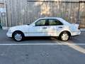 Mercedes-Benz C 180 C 180 Elegance Aut. Weiß - thumbnail 2