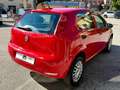 Fiat Punto 1.4 8V 5 porte Natural Power Street Rouge - thumbnail 7