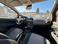 Fiat Punto 1.4 8V 5 porte Natural Power Street Rouge - thumbnail 16