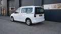 Volkswagen Caddy Caddy 2,0 TDI 4MOTION / MODELL 2022 / Weiß - thumbnail 4
