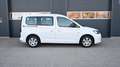 Volkswagen Caddy Caddy 2,0 TDI 4MOTION / MODELL 2022 / Weiß - thumbnail 3
