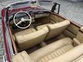 Mercedes-Benz Sonstige S 220 Ponton Cabriolet Rot - thumbnail 20